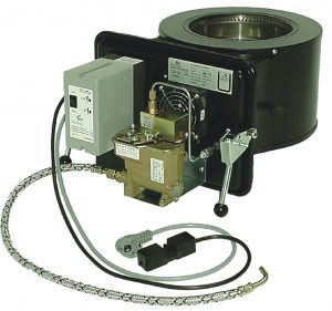 Brenner IHS 2020 B